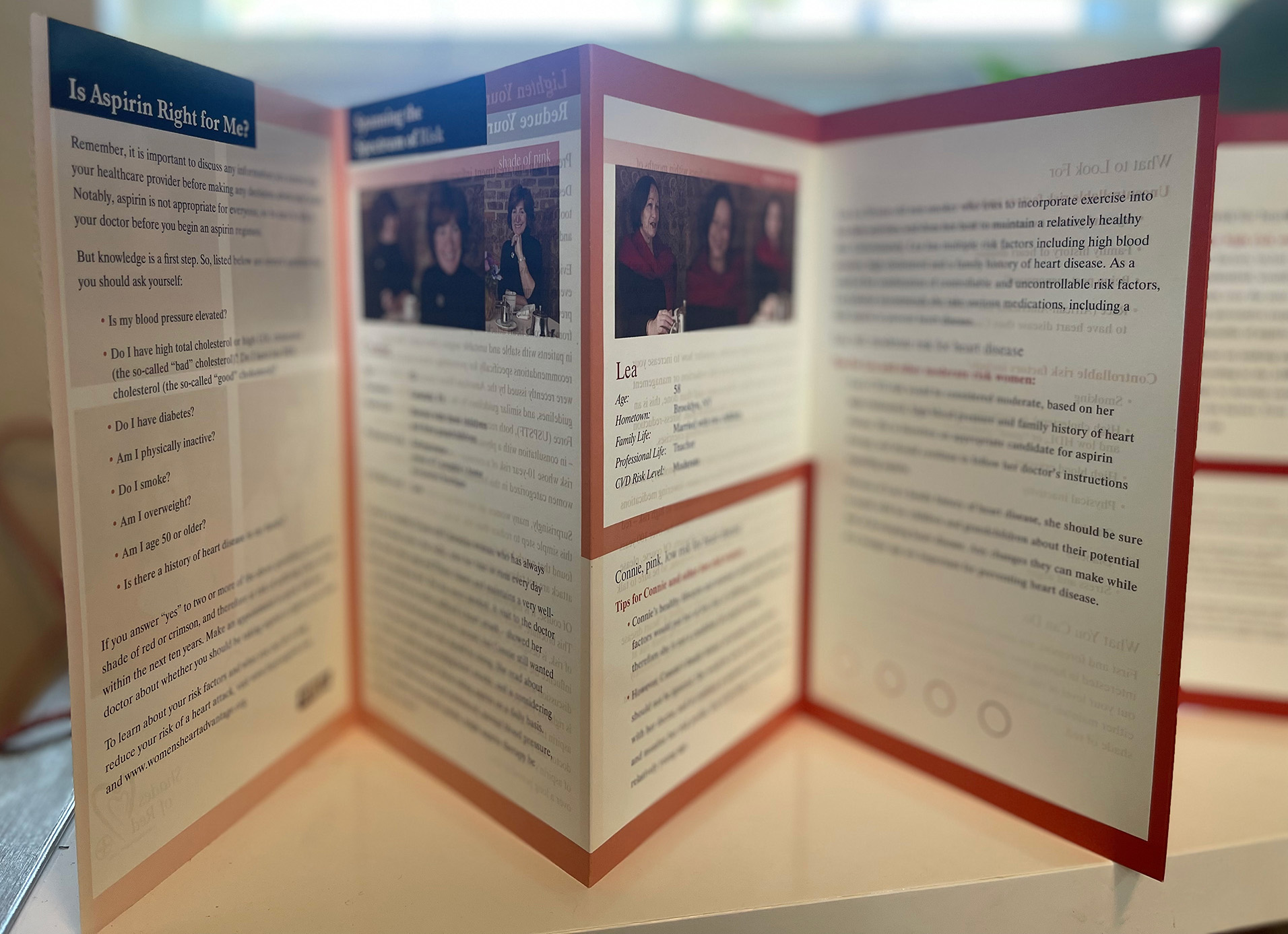 The Shades of Red accordion brochure unfolded